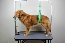 GroomTech Biothane Safety Grooming Tether [Colour: Teal] -Pet Care Store GT SGT01 TE 1