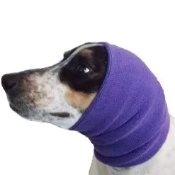 Happy Hoodie Purple, Pack Of 2 -Pet Care Store HH 01 PP 4