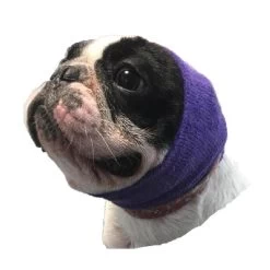 Happy Hoodie Purple, Pack Of 2 -Pet Care Store HH 01 PP 5