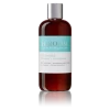 IGroom All In One Shampoo + Conditioner 16oz (473ml) -Pet Care Store IG 00840