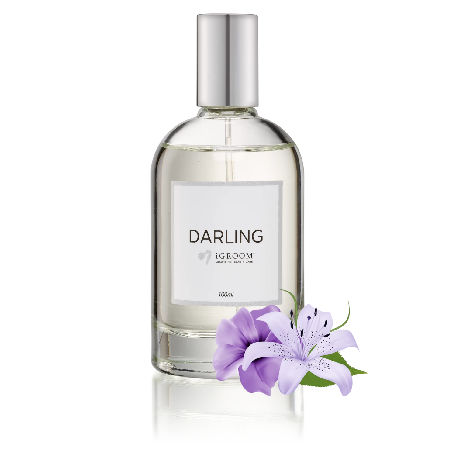 IGroom Perfume Darling 100ml 3 IGroom Perfume Darling 100ml