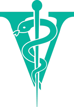 Joyzze Hornet Mini Trimmer 2 Speed [Teal] -Pet Care Store JY 99027 8