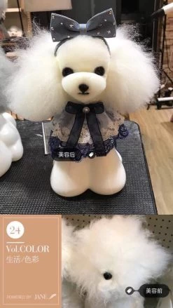 Mr. Jiang Teddy Bear Head Hair / Model Dog [White] -Pet Care Store MJ TB04W 4