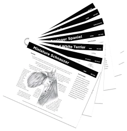 Shortcuts From The Grooming Table -Pet Care Store MV 37970