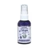 South Bark's Blueberry Clove Cologne 2.5oz (75ml) -Pet Care Store SB 00009