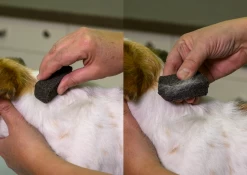 Show Tech Stripping Stone 9x6x2.5cm -Pet Care Store ST 90070 2