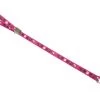 Show Tech Grooming Noose Pawprint Pink 45cm X 1.5cm -Pet Care Store ST 94682