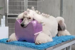 Show Tech Topknot Cushion Pillow Glitzy Purple - Large -Pet Care Store ST 94916 2