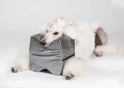 Show Tech Topknot Cushion Pillow Glitzy Black - Medium -Pet Care Store ST 94918 3