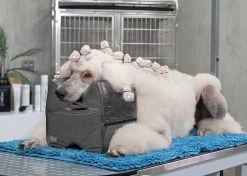 Show Tech Topknot Cushion Pillow Glitzy Black - Medium -Pet Care Store ST 94918 4