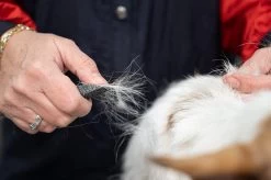 Show Tech Comfy Stripping Stick 13mm Double Sided -Pet Care Store ST 95086 3