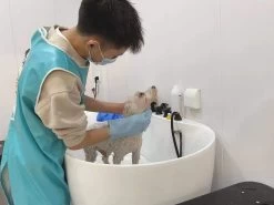 Aeolus Acrylic Bathing Tub With Faucet And Sprayer Kit - Free Booster -Pet Care Store T BTF1200DB 3