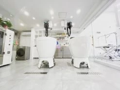 Aeolus Acrylic Bathing Tub With Faucet And Sprayer Kit - Free Booster -Pet Care Store T BTF1200DB 6