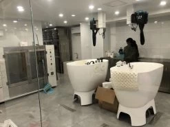 Aeolus Acrylic Bathing Tub With Faucet And Sprayer Kit - Free Booster -Pet Care Store T BTF1200DB 7