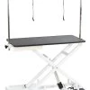 Aeolus Low-Low Electric Lifting Table Eco Version -Pet Care Store T FT808 ECO
