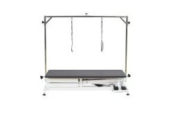 Aeolus Low-Low Electric Lifting Table Eco Version 10 Aeolus Low-Low Electric Lifting Table Eco Version -Pet Care Store T FT808 ECO 2