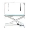 Aeolus Electric Lifting Table With LED Light -Pet Care Store T FT829