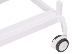 Aeolus Transportation Table -Pet Care Store T FT835 3