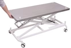 Aeolus Transportation Table -Pet Care Store T FT835 4