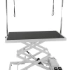 Aeolus Accordion Electric Lifting Table [White] -Pet Care Store T FT899 WH