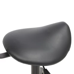 Groomer's Saddle Stool With Back Rest (Black) -Pet Care Store T GC010 2