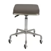 Groomer's Modern Groomer Stool With Square Cushion (Grey) -Pet Care Store T GC011