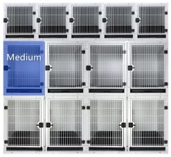 Pet Care Store -Pet Care Store T KA505TM 1