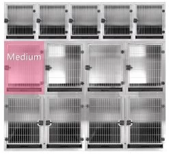 Pet Care Store -Pet Care Store T KA505TM 201 1