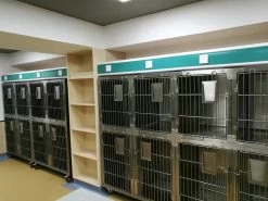 Aeolus KA509T Stainless Steel Modular Cage (2019 Model) [Design 4] -Pet Care Store T KA509TD4 7