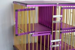 Aeolus 4-Berth Show Trolley With 4" Nylon Wheels - Large [Gold And Purple] -Pet Care Store T KB511NAF GP Kit 5