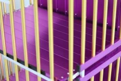 Aeolus 4-Berth Show Trolley With 6" Rubber Wheels - Large [Gold And Purple] -Pet Care Store T KB511NAF GP Kit6W 4